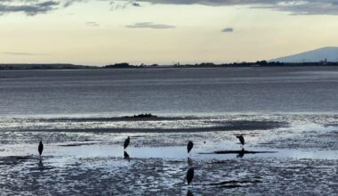 THROUGH YOUR LENS: Beautiful days in the neighbourhood
