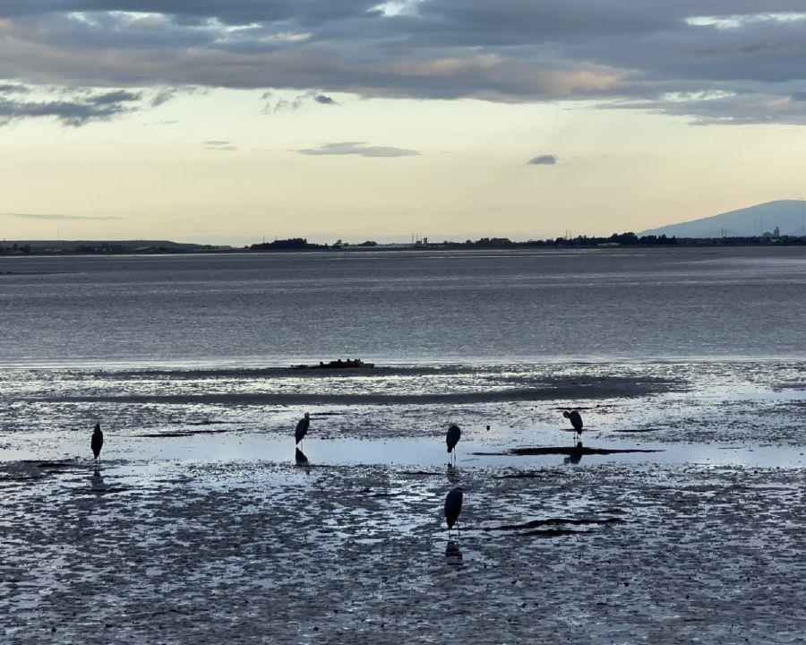 THROUGH YOUR LENS: Beautiful days in the neighbourhood