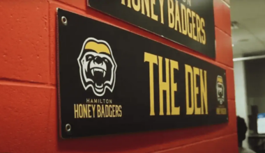 Honey Badgers brawl leads to fines and suspension for Brampton players