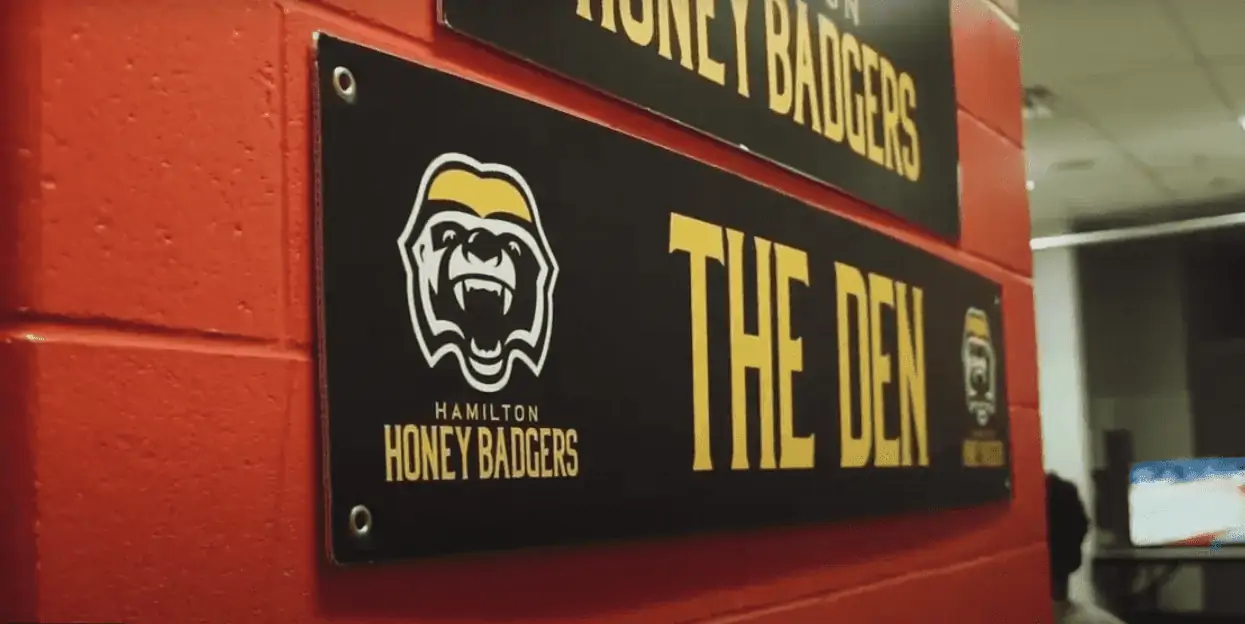 Honey Badgers brawl leads to fines and suspension for Brampton players