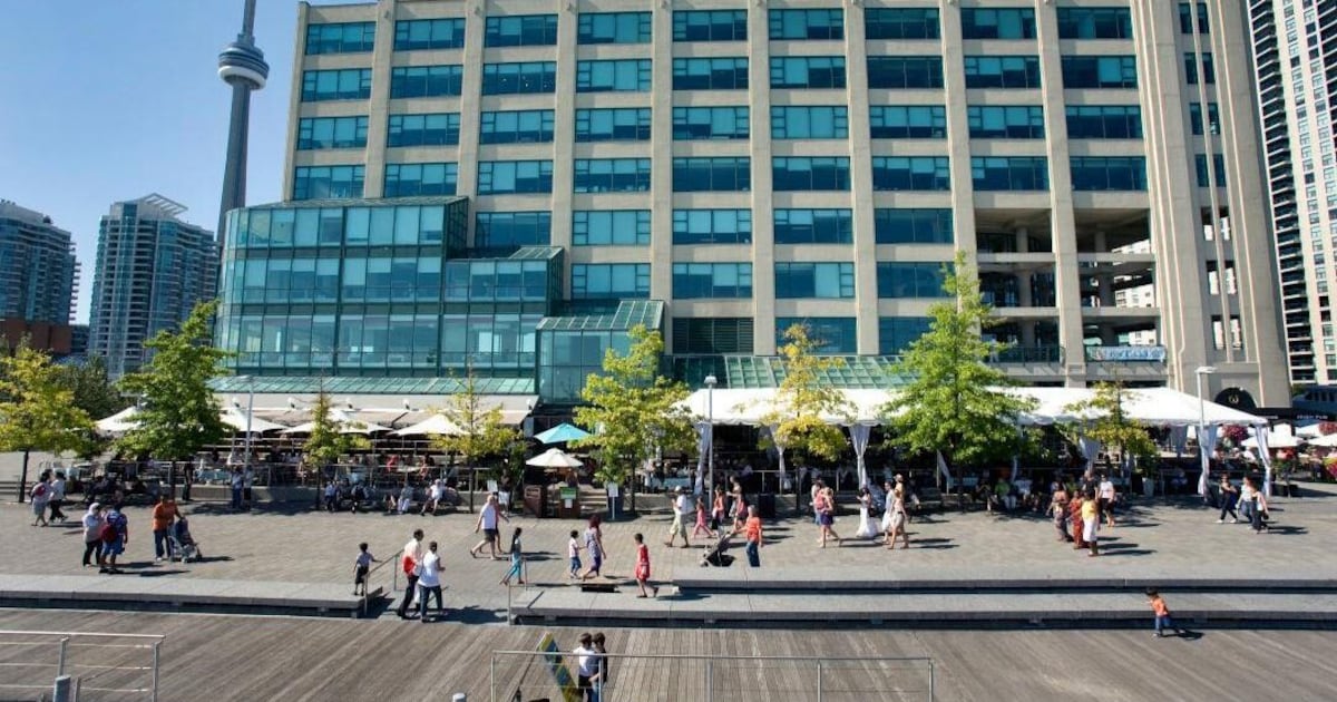 Toronto’s Harbourfront Centre launches new reggae-focused cultural initiative – CP24