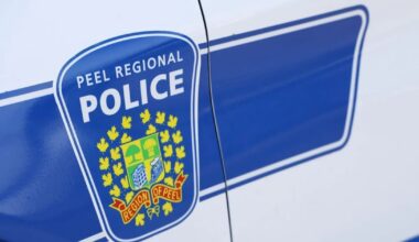 Peel police on scene after fight turns into stabbing in Mississauga – CP24