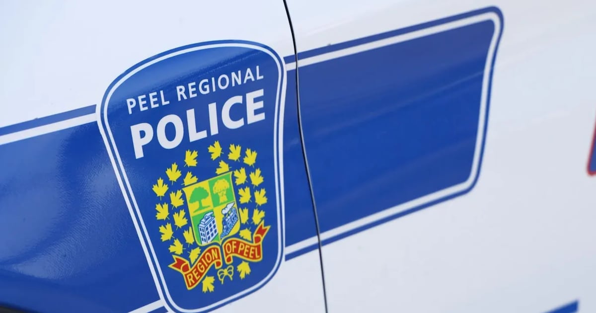 Peel police on scene after fight turns into stabbing in Mississauga – CP24