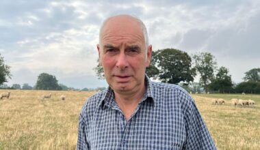 Bluetongue fears 'on par with foot and mouth'