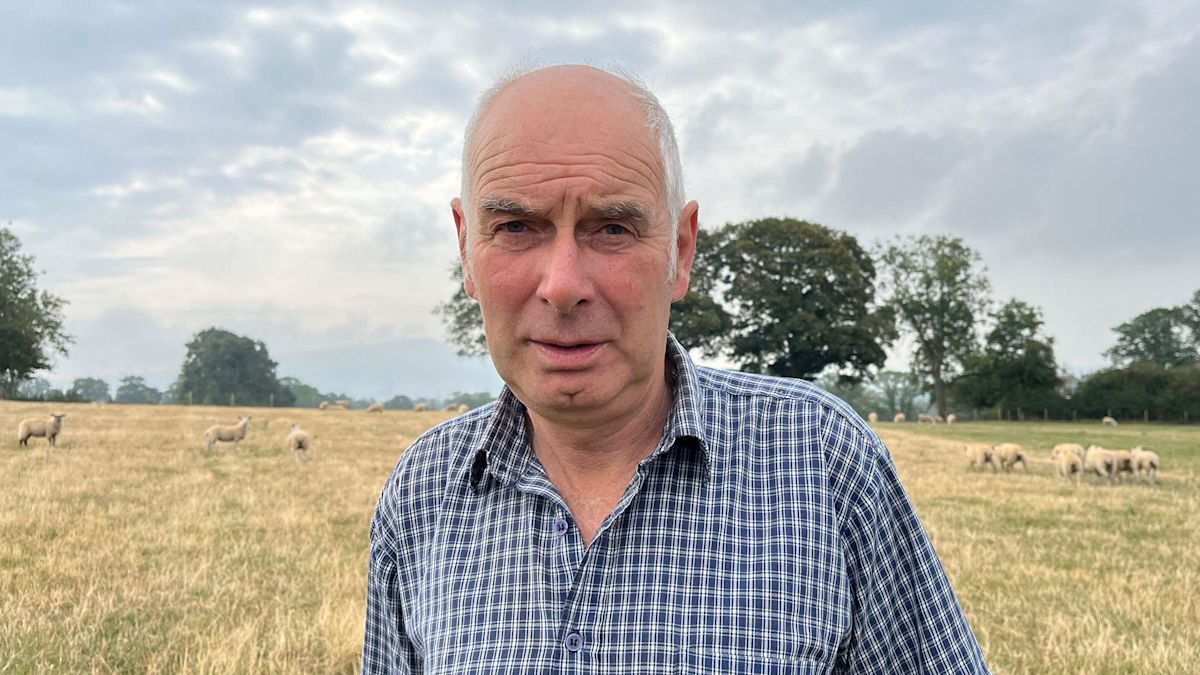 Bluetongue fears 'on par with foot and mouth'