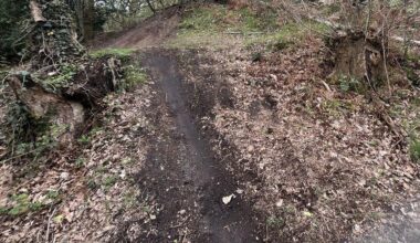 Glow-worms in danger after habitat destruction