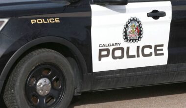 Calgary police seeking suspect in late-night assault near downtown