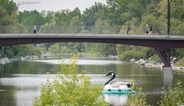 Calgary nudists back down from planned Prince's Island Park protest — for now