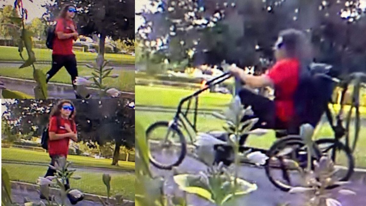 Ottawa man with cerebral palsy gets stolen custom-built bike back