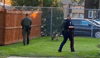 'How did he even get a gun?': Edmonton gang violence on the rise