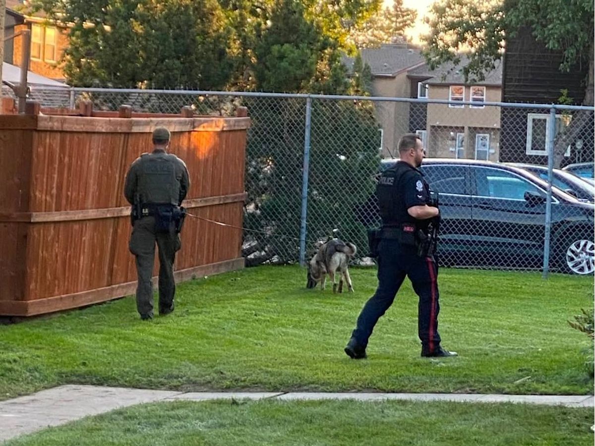 'How did he even get a gun?': Edmonton gang violence on the rise