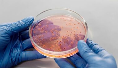 Gut viruses are evolving new tricks to beat bacteria — and could help fight superbugs