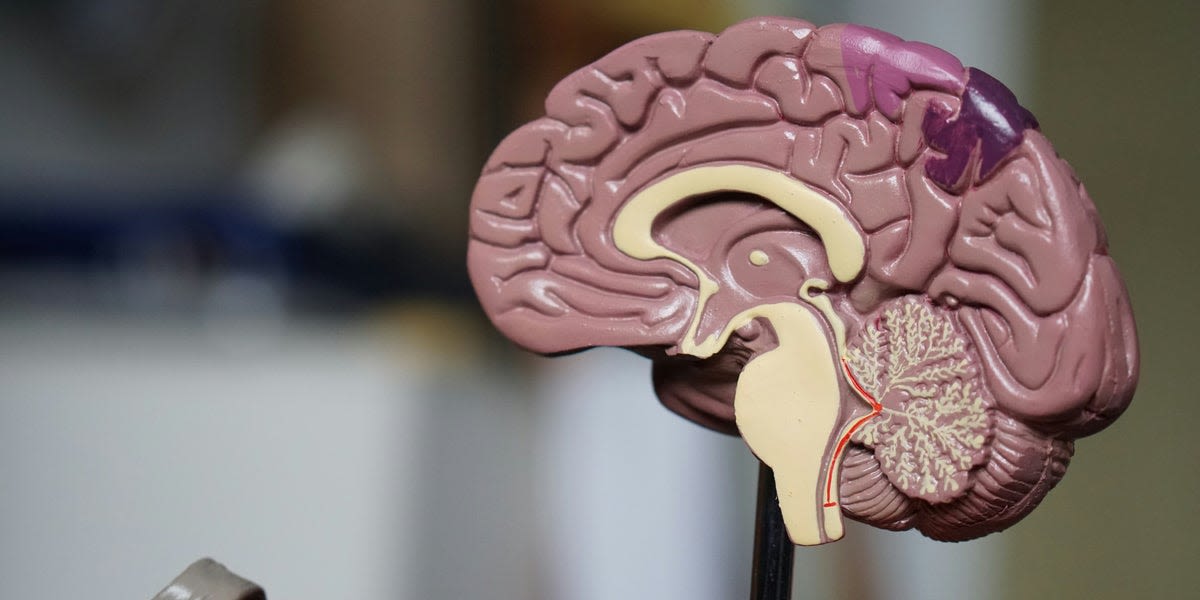 Dementia Tests May Miss Women For Years Longer Than Men