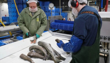 Canada excludes US seafood from retaliatory tariffs