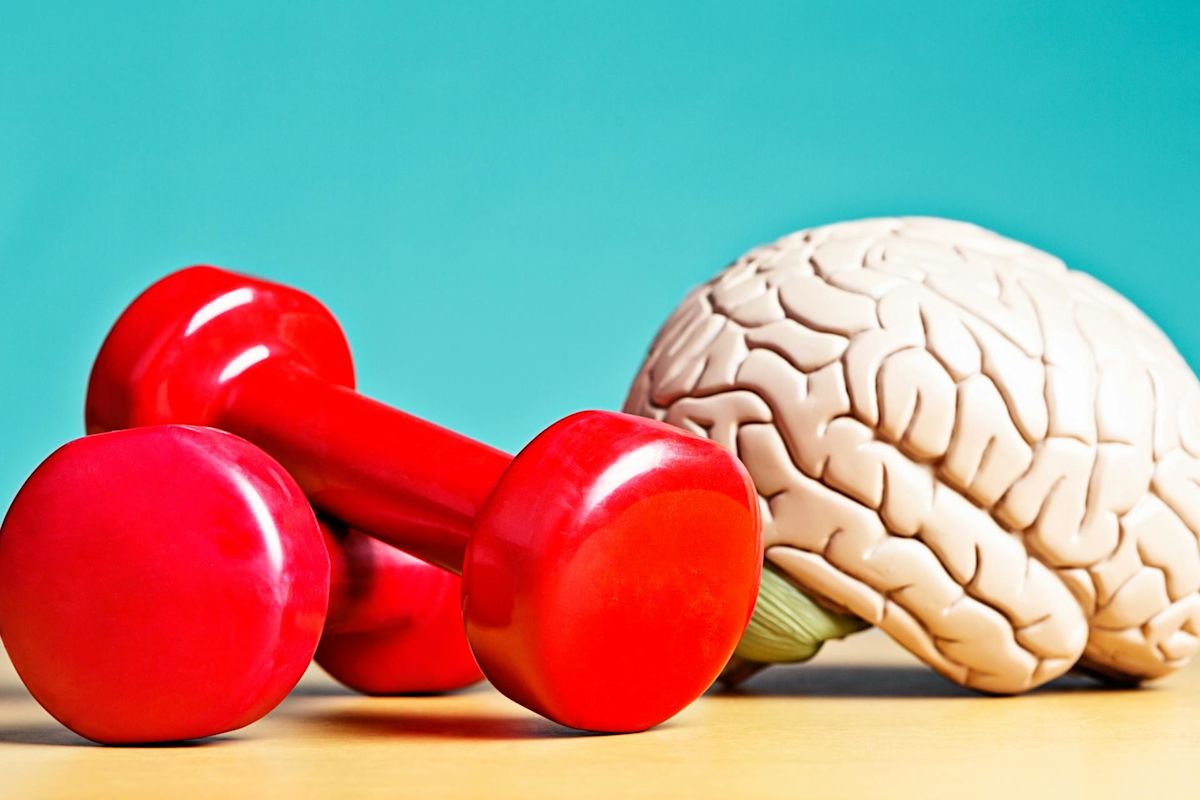 Your brain can be trained, much like your muscles – a neurologist explains how to boost your brain health
