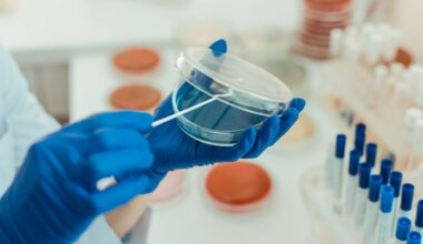 First ancient smallpox genomes found in the Americas tie disease to European colonization