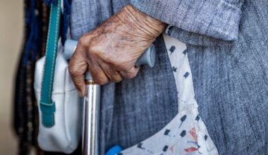 Special immune cells in centenarians could be killing cancers before they grow