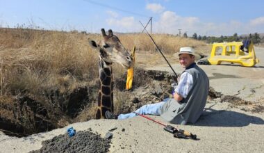 ‘Giraffe’s head’ sinkhole stunt backfires in South Africa