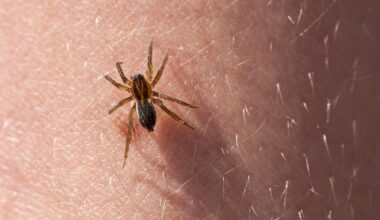 A Woman Was Bitten by Spiders on a Lakeside Family Trip—Nearly 3 Months Later, She’s Still Fighting for Her Health