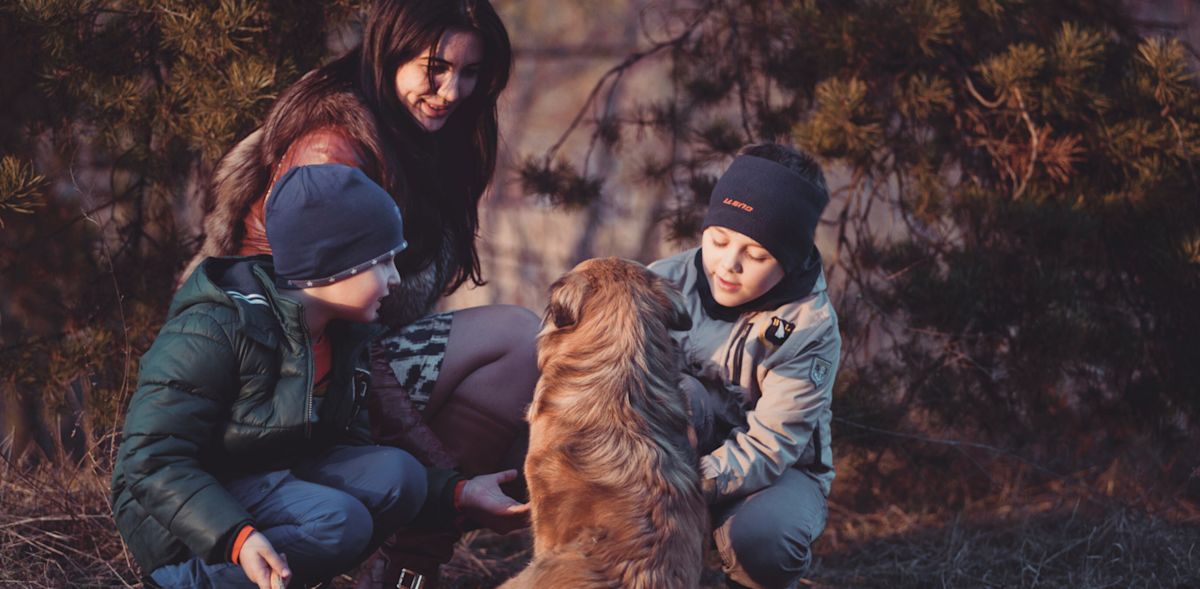 Four siblings battled the same symptoms for a decade. The family dog had already been diagnosed with what they had.