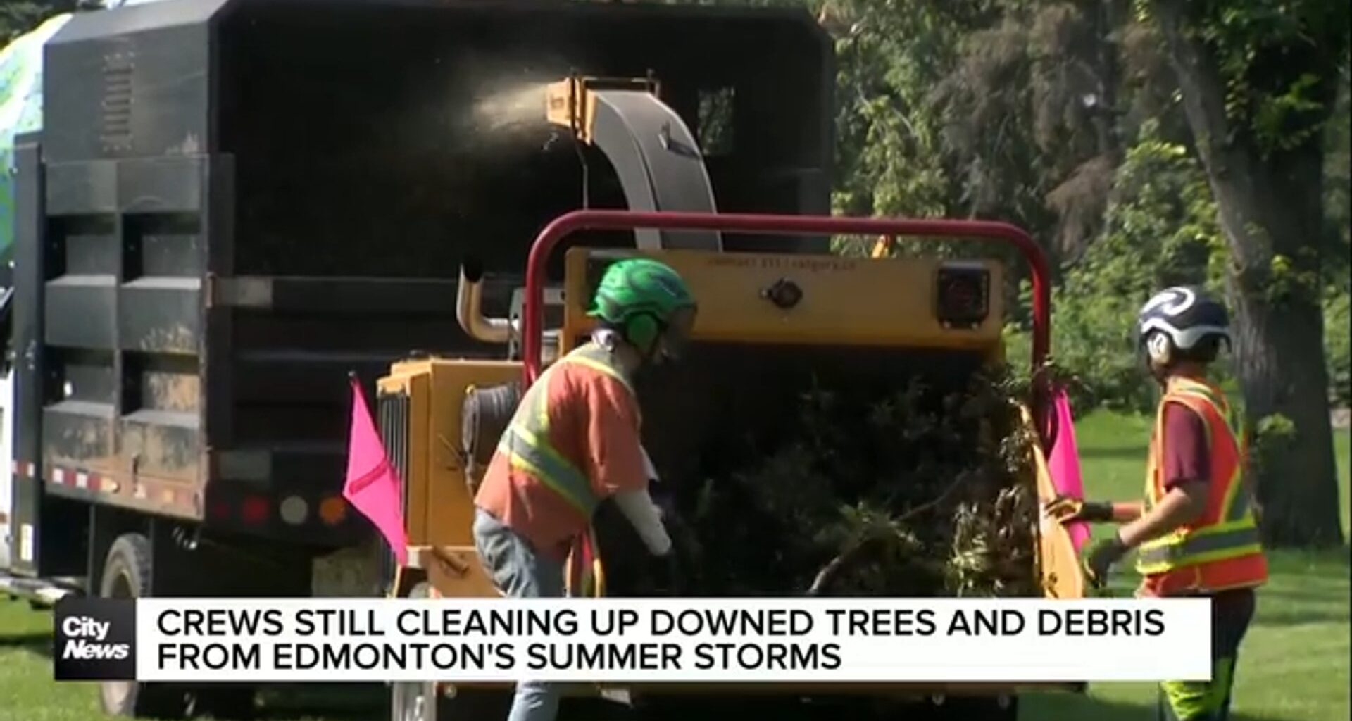 Crews clearing downed trees and debris from Edmonton summer storms