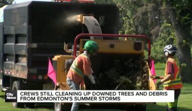 Crews clearing downed trees and debris from Edmonton summer storms