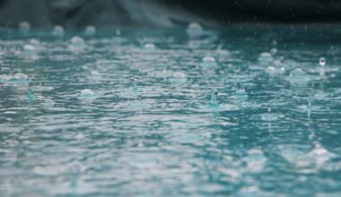 Toronto under special weather statement for possible heavy rainfall
