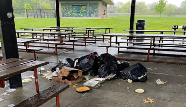 litter mississauga complaint august