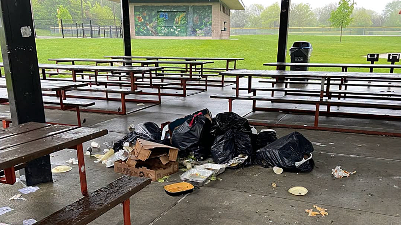 litter mississauga complaint august