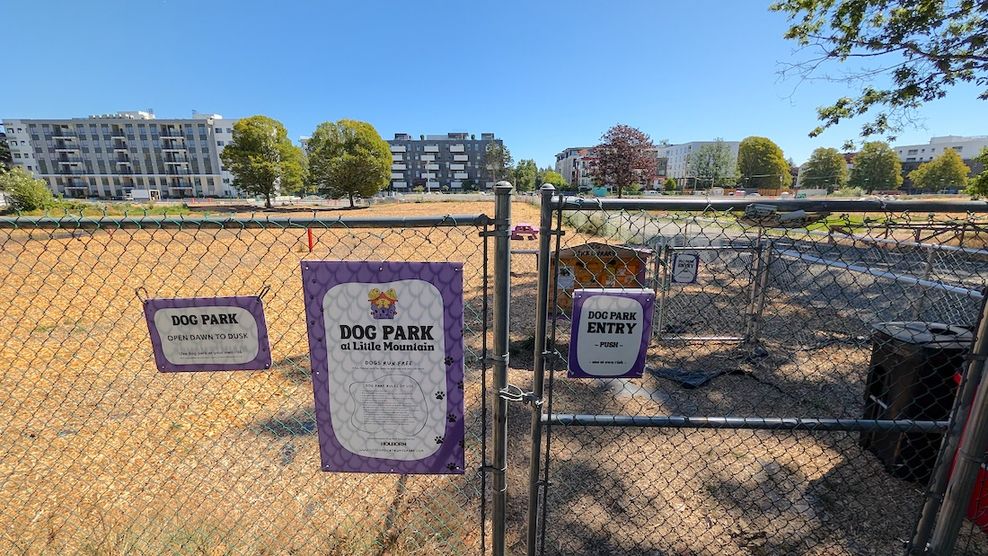 little mountain vancouver temporary dog park july 31 2026