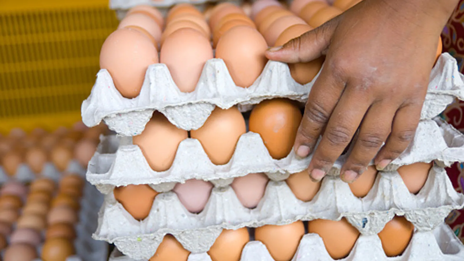 1 In 2 Indians Eat Protein Daily But Confusion Persists: Report