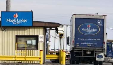 Company fined $500K after carbon dioxide leak causes critical injury at Brampton plant