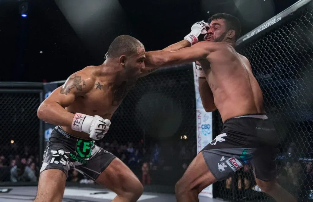 robert-whittaker-vs-jan-blachowicz
