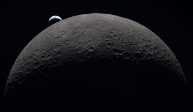 A black fungus that thrives in damp bathrooms and has been found aboard the ISS was the toughest organism in NASA's new Moon-survival study — even outperforming a bacterium famous for being one of the most radiation-resistant lifeforms on Earth.