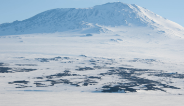 More than 45,000 meteorites have been collected from Antarctica, not because more fall there, but because flowing ice carries dark rocks into blue-ice stranding zones while the wind strips away snow, concentrating pieces of the Moon, Mars and asteroids on one enormous white surface