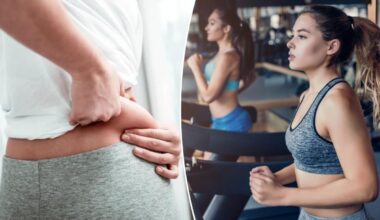 Once-weekly workout burns nearly as much fat as 3 workouts a week