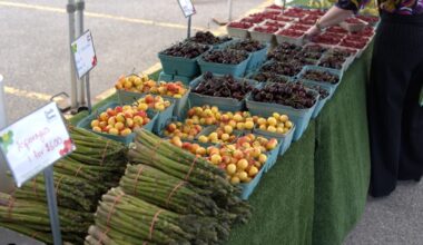 Alberta producers recognized as Food Day Canada approaches - DiscoverAirdrie.com