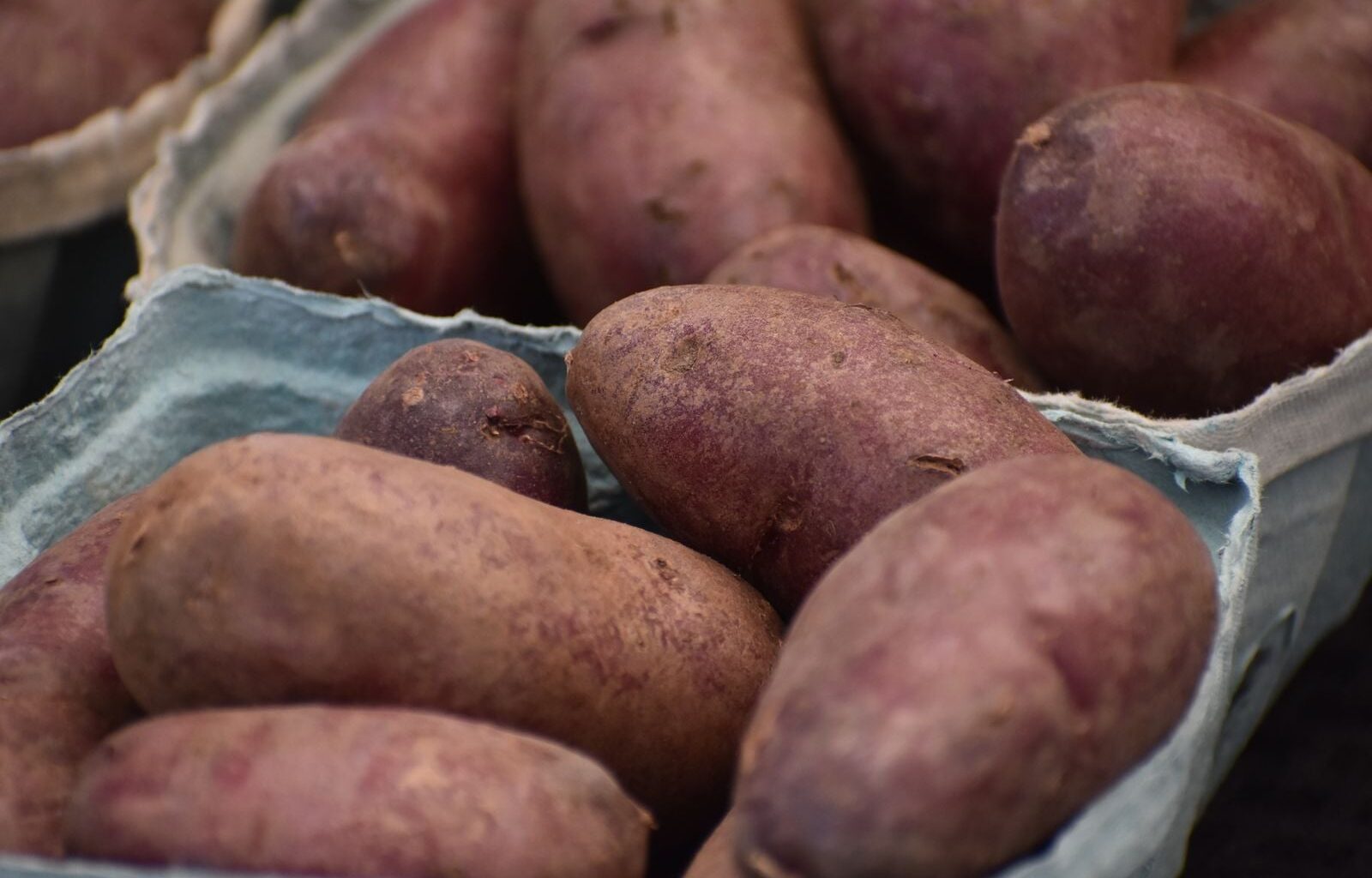 On the Japanese island of Okinawa, a cluster of villages produced so many people who lived past 100 that researchers spent decades studying their diet and eventually traced part of the effect to a purple sweet potato that supplied roughly 60 percent of daily calories through the first half of the twentieth century
