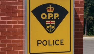 Mississauga man dies after canoe overturns in Stewart Lake in Mactier
