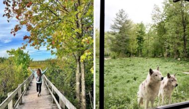 7 of my favourite dreamy spots to explore around Ottawa in the summertime