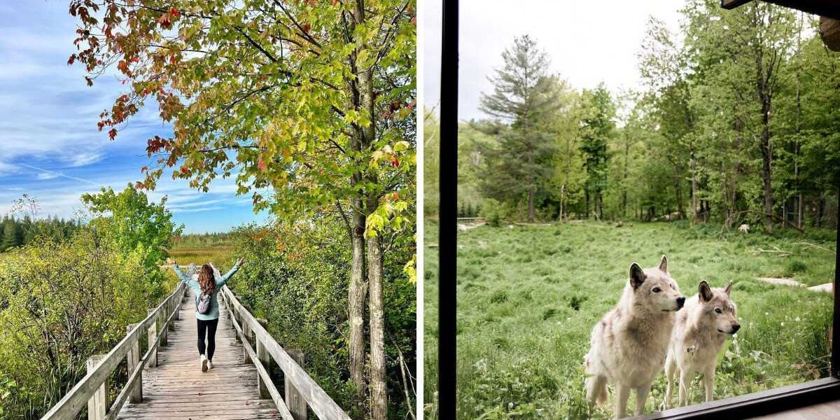 7 of my favourite dreamy spots to explore around Ottawa in the summertime