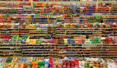 Ultra-Processed Foods: Great Export for America, Bad News for the World's Health
