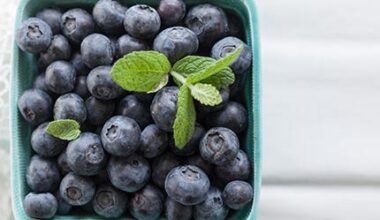 What happens to your body when you eat blueberries every day