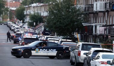 Police vehicles are seen on a residential street.