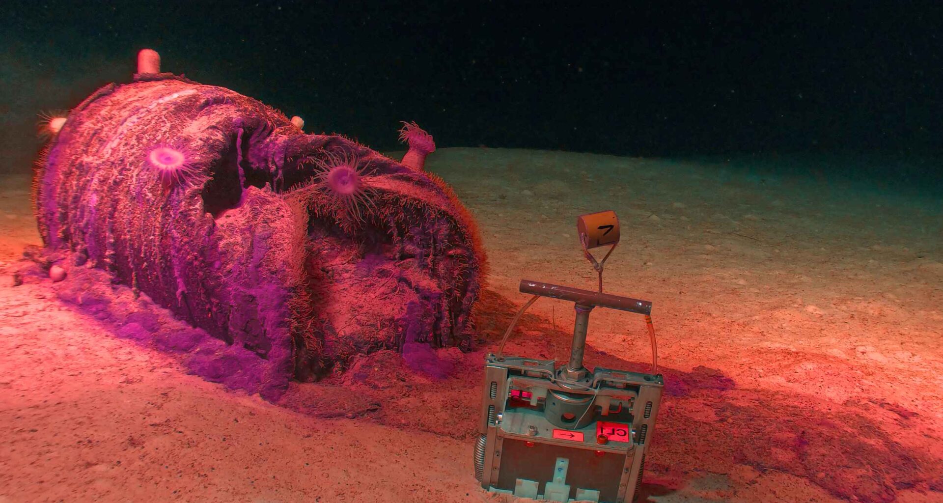 Scientists found over 200,000 barrels of leaking radioactive waste