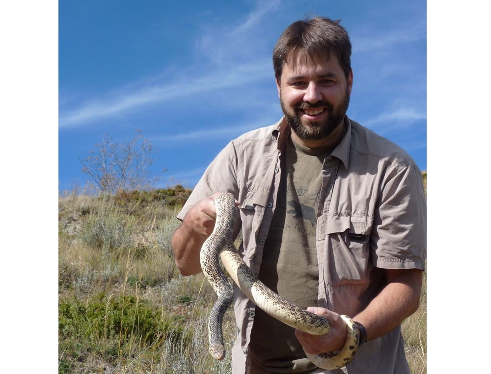 Rattlesnake season prompts safety reminder from SHA - DiscoverMooseJaw.com