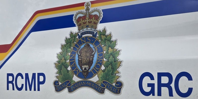 Man on Canada-Wide Driving Ban Arrested After Fleeing Police in Dildo