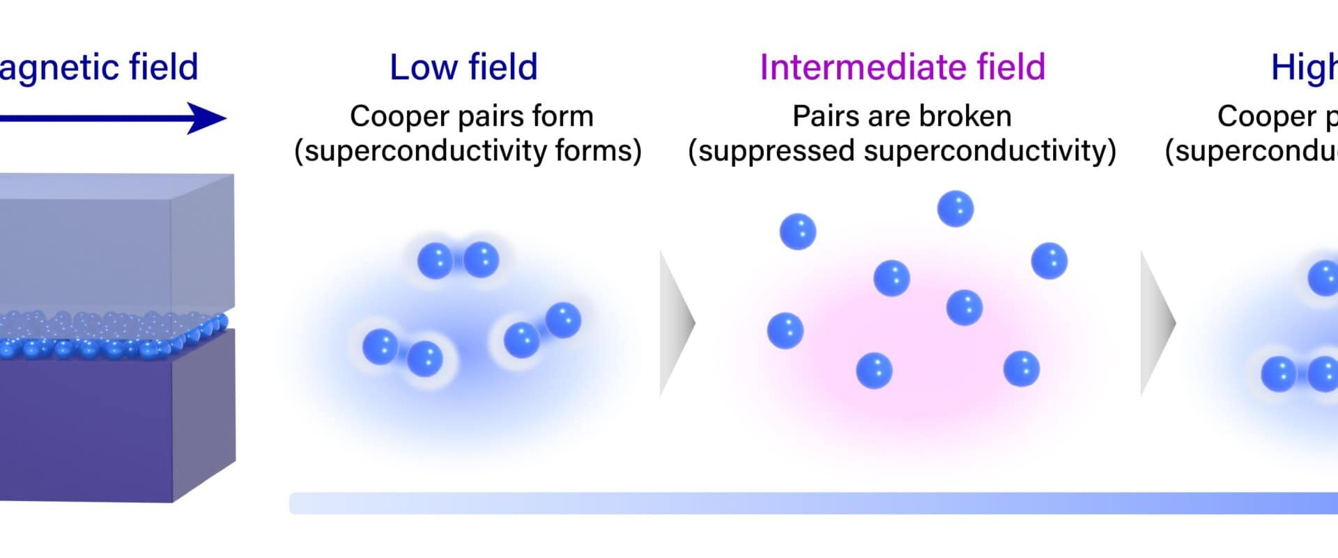 Magnetic field first kills superconductor, then brings it back to life – Physics World