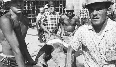 From the Archives: The Ottawa bridge collapse that shocked the world: 'They didn't have much time to scream'
