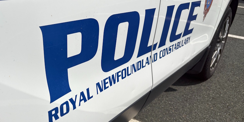 Man Charged After Security Guard was Punched in the Face at the Avalon Mall